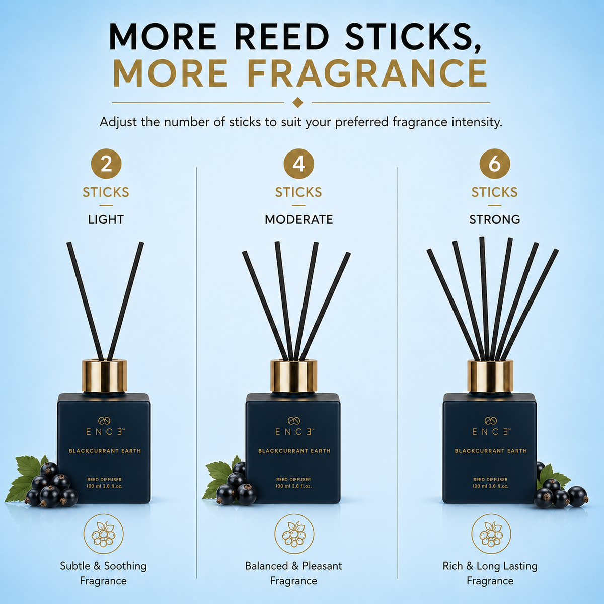 Blackcurrant Earth  Cassis & Gardenia Reed Diffuser