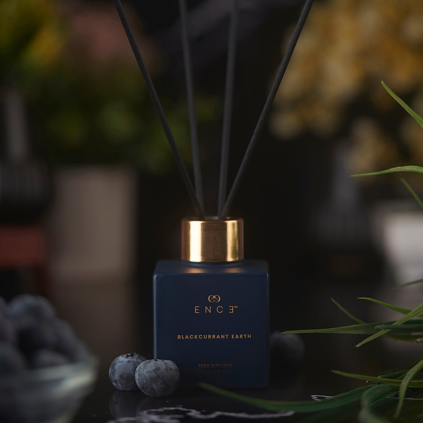 ENCE Blackcurrant Earth  Cassis & Gardenia Reed Diffuser (100ml / 90 Days)