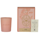 ENCE Yura  Citrus & Ylang-Ylang de Comores Luxury Soy Candle (200g / 50 Hrs)